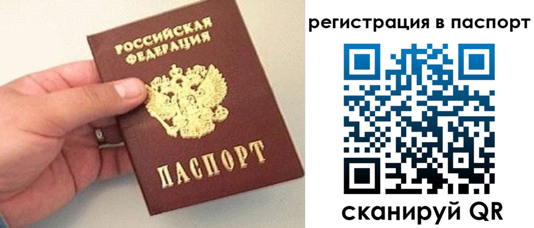 прописка законно в Зеленогорске